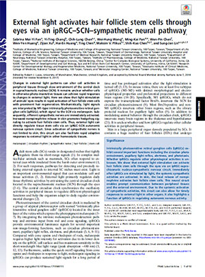External light activates hair follicle stem cells through eyes via an ipRGC-SCN-sympathetic neural pathway.