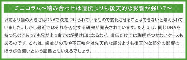 ミニコラム～噛み合わせは遺伝よりも後天的な影響が強い？～